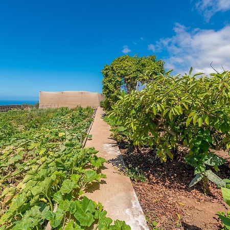 Casa Rural Finca Las Dulces Chio  Екстер'єр фото