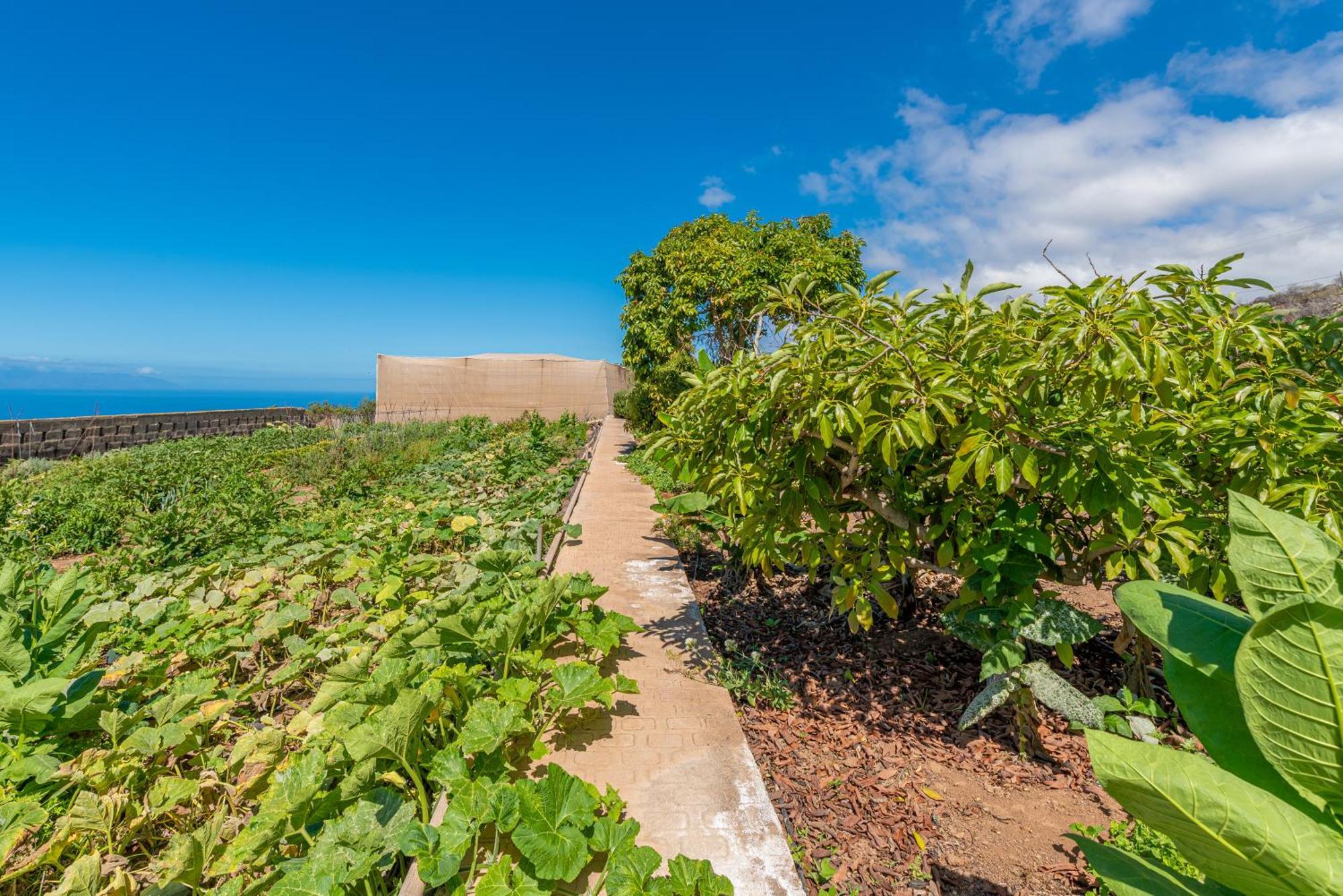 Casa Rural Finca Las Dulces Chio  Екстер'єр фото